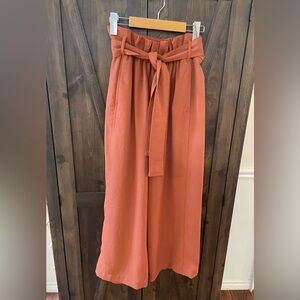 Wilfred Aritzia Terracotta Paperbag Pants